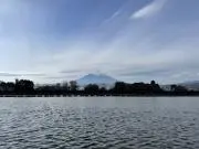 たけぽにょの画像