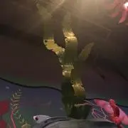 かわさきの画像