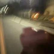tomoの画像