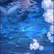 水の画像