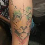 ソルトレイクの画像