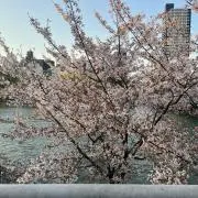 HN  片付け中の画像