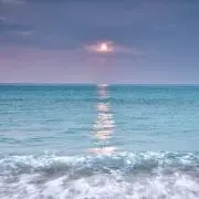 ぴかいち　フォロー割あり