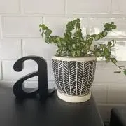 G...の画像