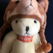 Image of もりのくまさん