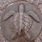 ドッピーの画像