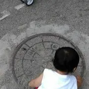 ぼんじりの画像