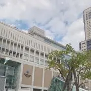 まゆの画像