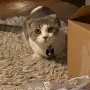 まる