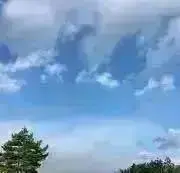 りっくんの画像