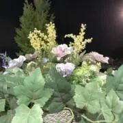 あんぬうどるの画像