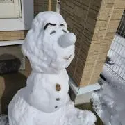 のんの画像