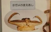 Mebius1 RZの画像