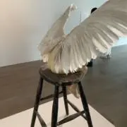 Wormの画像