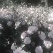 uの画像