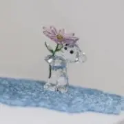 こうの画像