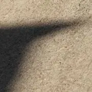 ニラ