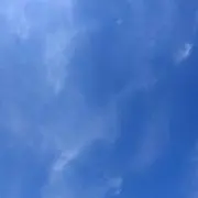 rの画像
