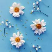 Blue skyの画像