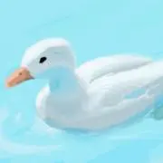 無色の画像