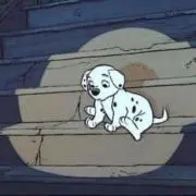 こんこんの画像