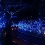 フレンチフライの画像