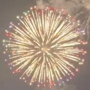 NTの画像