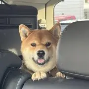 norooの画像
