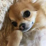 くれママ[プロフ必読]