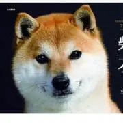 さくらの画像
