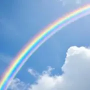ひめっぴの画像