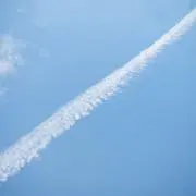 ぺこの画像
