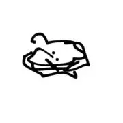 即購入⭕️の画像