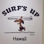 surfsupの画像
