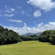 わたらいの画像