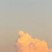 みの画像