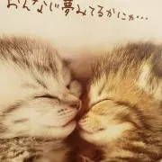 ⭐ゆきゆき⭐
