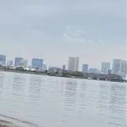 YAYAの画像