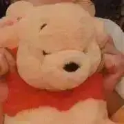 くまたん。当日or翌日発送可能！の画像