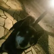 あっちゃん