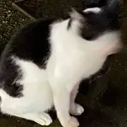 のん プロフ見てくれると嬉しいです！の画像