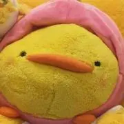 hiyoko( ・⊝・ )の画像