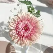 ぷてぃ