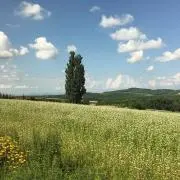 sky blueの画像