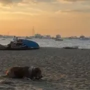 ひろみちの画像