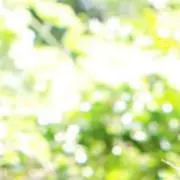 ヤマト