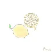 レモンの画像