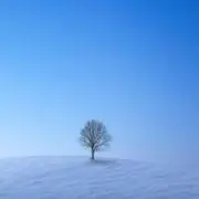 チー