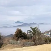 あわたんの画像