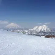 みぃの画像